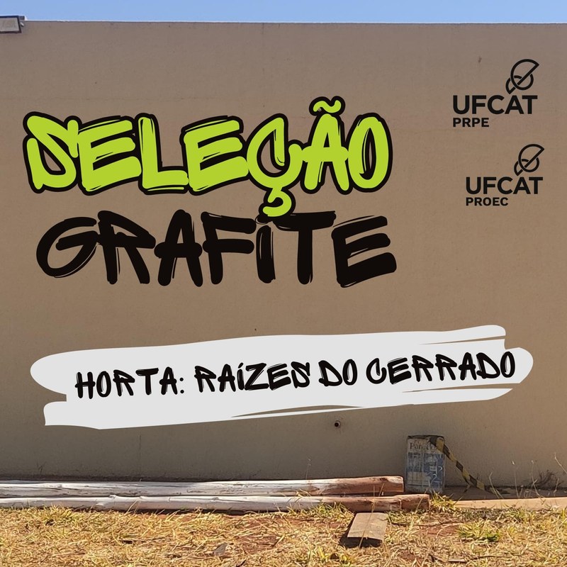 SELEÇÃO DE PROJETO DE ARTE: GRAFITE PRÉDIO PRÓPRIO DA UFCAT