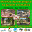 Mutirão Agroecológico no Jardim Aromático