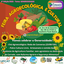Feira Agroecológica e Cultural da UFCAT - 6ª Edição/2025